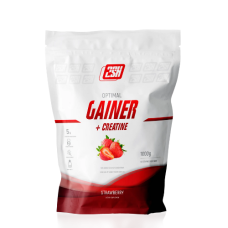 2SN Gainer 1000g (Клубника)