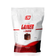 2SN Gainer 1000g (Шоколад)